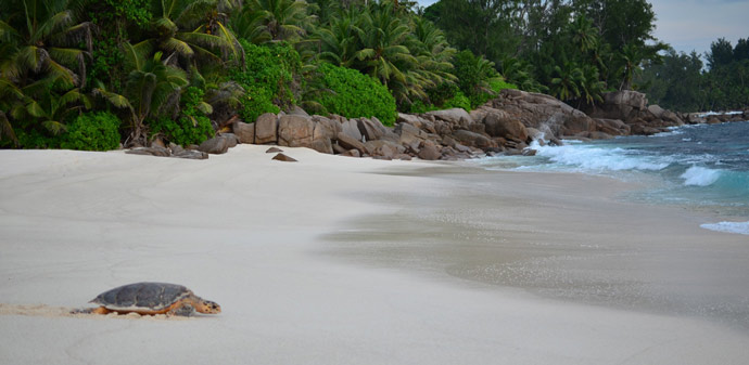 Seychelles2
